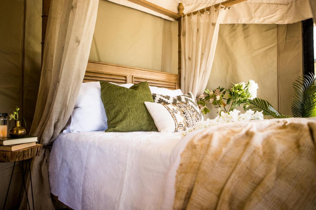Orchard Valley Glamping Otorohanga Extérieur photo